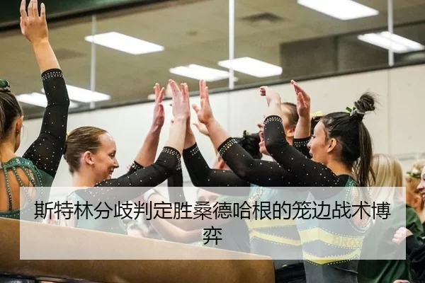 斯特林分歧判定胜桑德哈根的笼边战术博弈