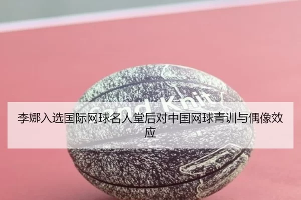 li-na-ru-xuan-guo-ji-wang-qiu-ming-ren-tang-hou-dui-zhong-guo-wang-qiu-qing-xun-yu-ou-xiang-xiao-ying-2-298.jpg